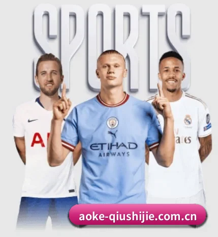 aoke-qiushijie.com.cn的故事