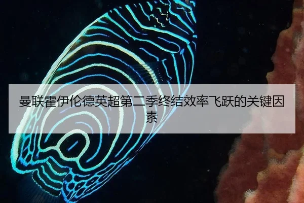 man-lian-huo-yi-lun-de-ying-chao-di-er-ji-zhong-jie-xiao-lv-fei-yue-de-guan-jian-yin-su-2-410.jpg
